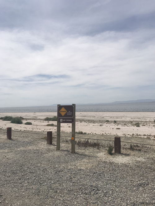 Salton Sea Area - 2015-2020 Photos